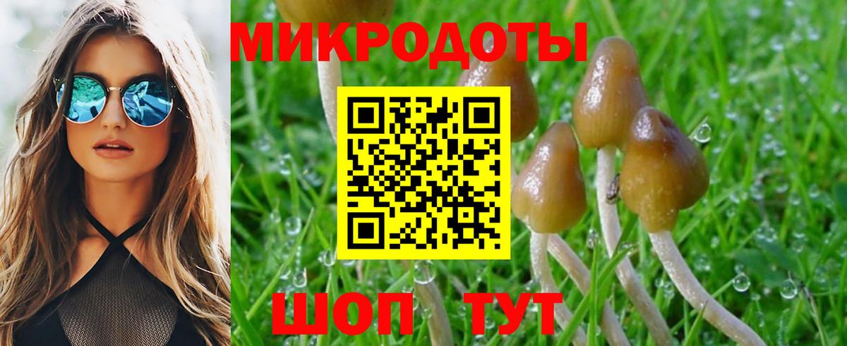 Галлюциногенные грибы прущие грибы Советск